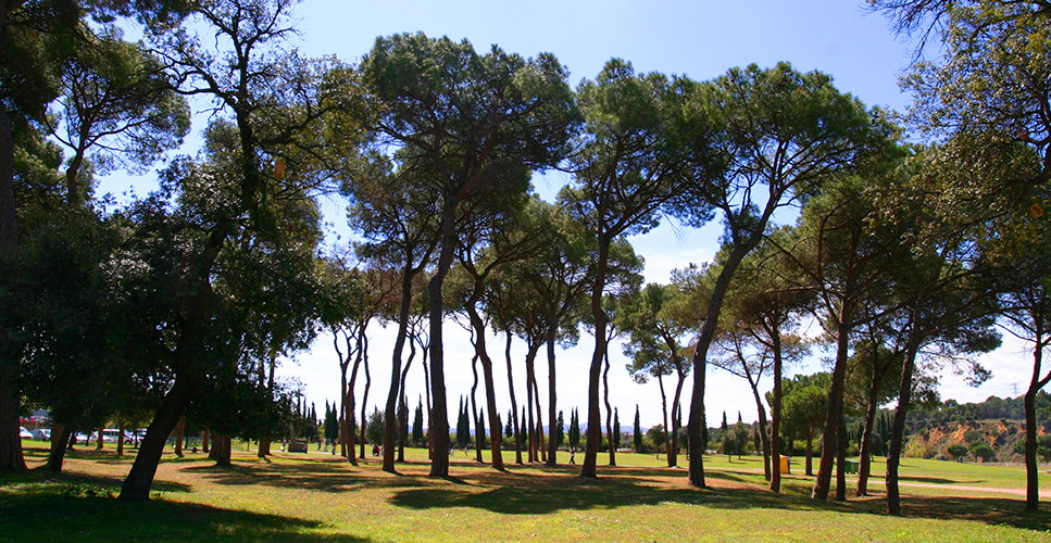 Parc de l'Hostal del Fum